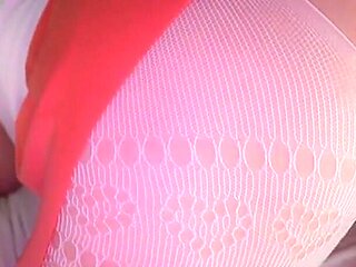 Best Home Porn Compilation - Lilykoti