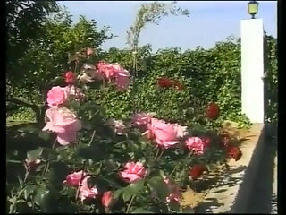 Two Friends Are on Vacation in Ibiza and Fuck Hot Chicks.