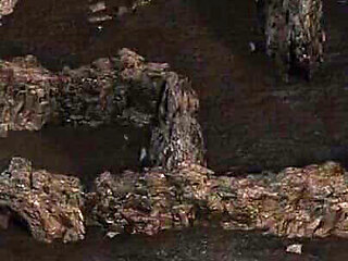 Treasure of Nadia V93083 Part 284 When It's Too Secret.. by Loveskysan69