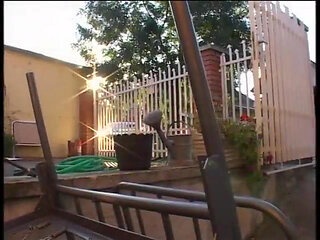 The black forest - DVD