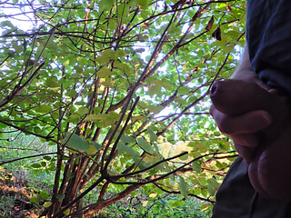 Horny peeing outside