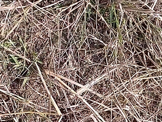 Gay Boy Sucking Wife Pussy Outdoor Masterbate