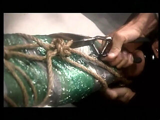 Evan Stone and Kylie Ireland in Vintage Art of Blowjob and Anal HD Video