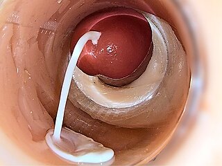 Camera Inside Deep Pussy Captures Huge Ejaculation of Sperm