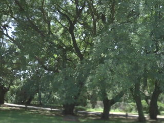 My Wife, a Hot and Insatiable Italian Slut (part 27)