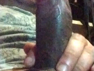 The anaconda playing in slow motion