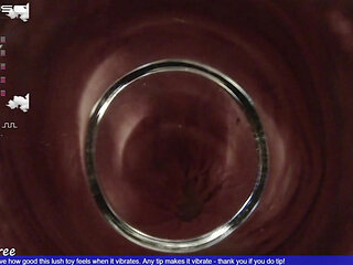 Fat Glass Dildo Inside View