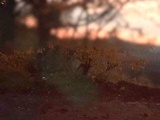 Poor lighting naked infront of passing cars