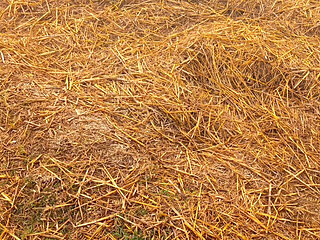 Indian beautiful my wife desi girl sex video porn video XX video hot sexy video