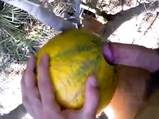 Outdoor Melon Play