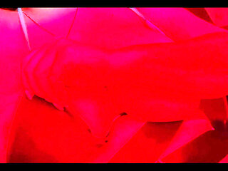 Big Areola Titty Flash Ft. Curvy Dani Valentina