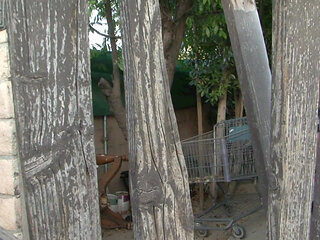 Big black cock in her sexy big round ass