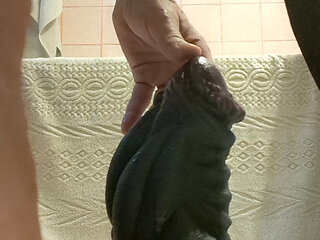I fuck my ass with a giant dragon dildo dressed in a bodystocking