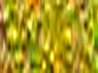 Little Cream Puffs 10 Part 4 - Creamy Encounters