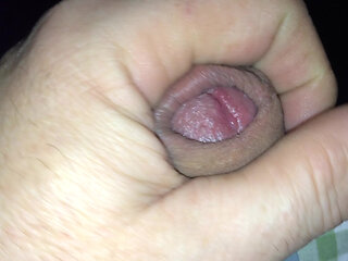 Wonderful Penis to Eat