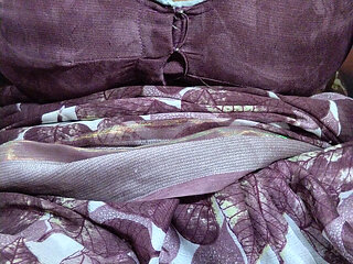 Beautiful Desi Bengali Village Aunty Pussy Show