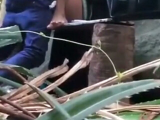 Indian Couples Are Sex in Jungle
