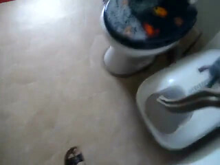 Swallow My Piss