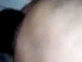 Bear Daddy's Cock Craze