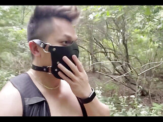 Take a Scroll with Me in the Woods