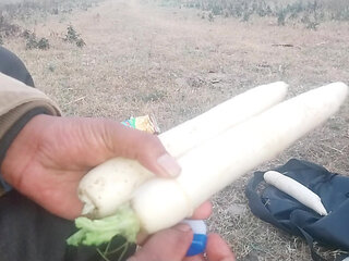 Inserted two radishes into the ass simultaneously.