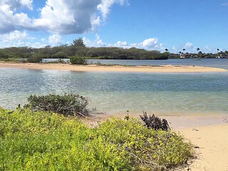 Paiko Fishpond, East Oahu, Hawaii