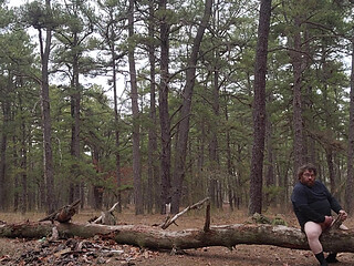 More of out in the woods