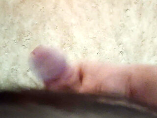 Cumming Floor