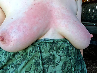 Red tits in the shed