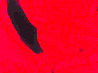 She sucks me up so so excellent