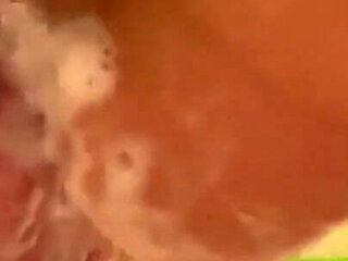 Wet Fun Close up