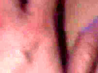 A Compilation of Pussy Creampies