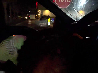 Quick Blowjob in the Car