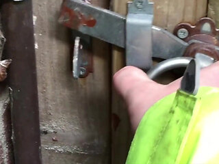 Through the Windows and Got Lucky