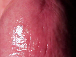 Goddess Anya Queens POV View Extreme Oral & Wet Asmr