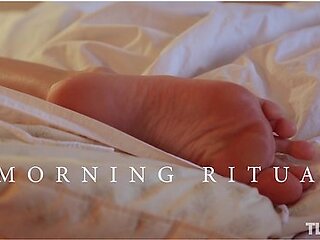 Morning Ritual - Black Fox