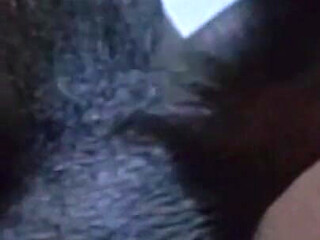 Desi Girls - Dog Style Video Part 3