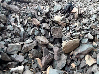 pee on the moutain so fun