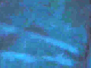 CDZZRBECHWNSWZSRCM31JUR660