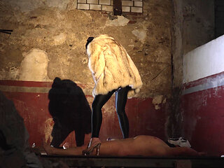 Halloween Toilet Fetish