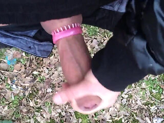 Thick Veiny Cock with Penis Ring Intense Jerking in a Park - No Cum