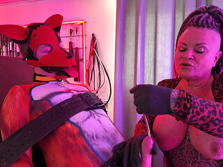 Slutty Shakkis Fox Cock