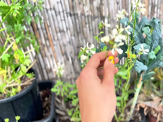 Naked in the Garden: Private Patio Tease, Pee for Plant