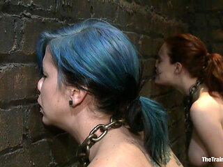 Day 4 - Red and Blue