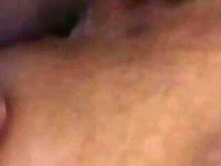 The Pussies From the Office Tower