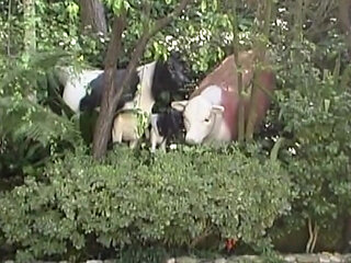 Hei&szlig;e Br&uuml;nette reibt sich im Freien