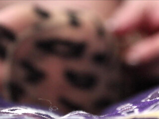 Leopard Pantyhose Tryon