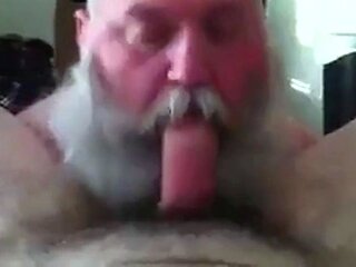 Bearded Daddy Sucks Big Cock