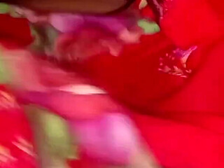 Part-1 Kolkata Hot College Girl Give Me Best Advance for Staying Cowgirl Reevesgril Hard Hurtful in My Home as Guest