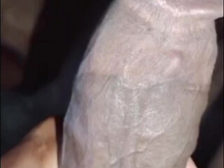 Sudanes cock dark